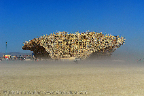 Burning Man 2006