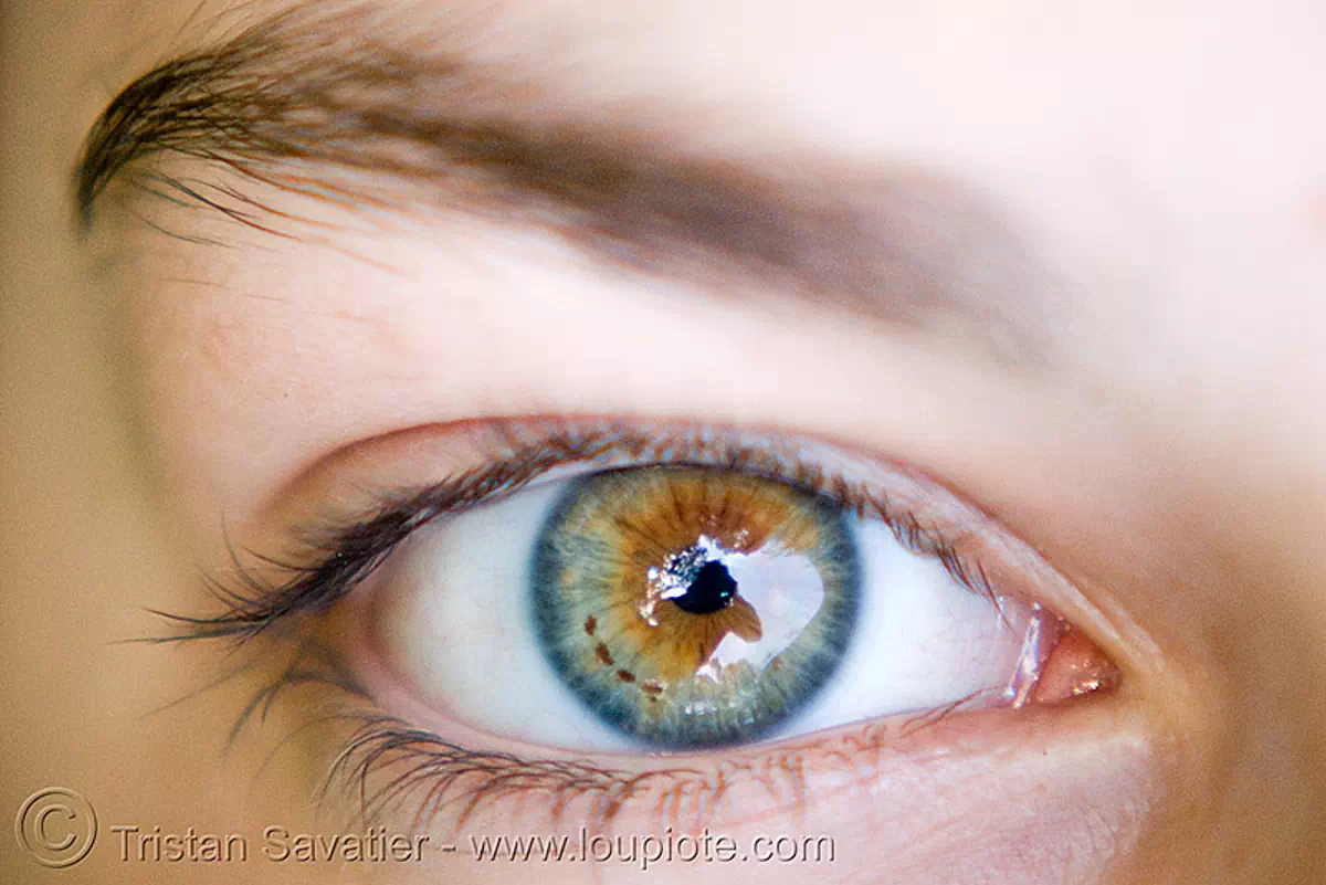  , hazel, iris freckles, macro, pupil, right eye, spots, woman, zoey