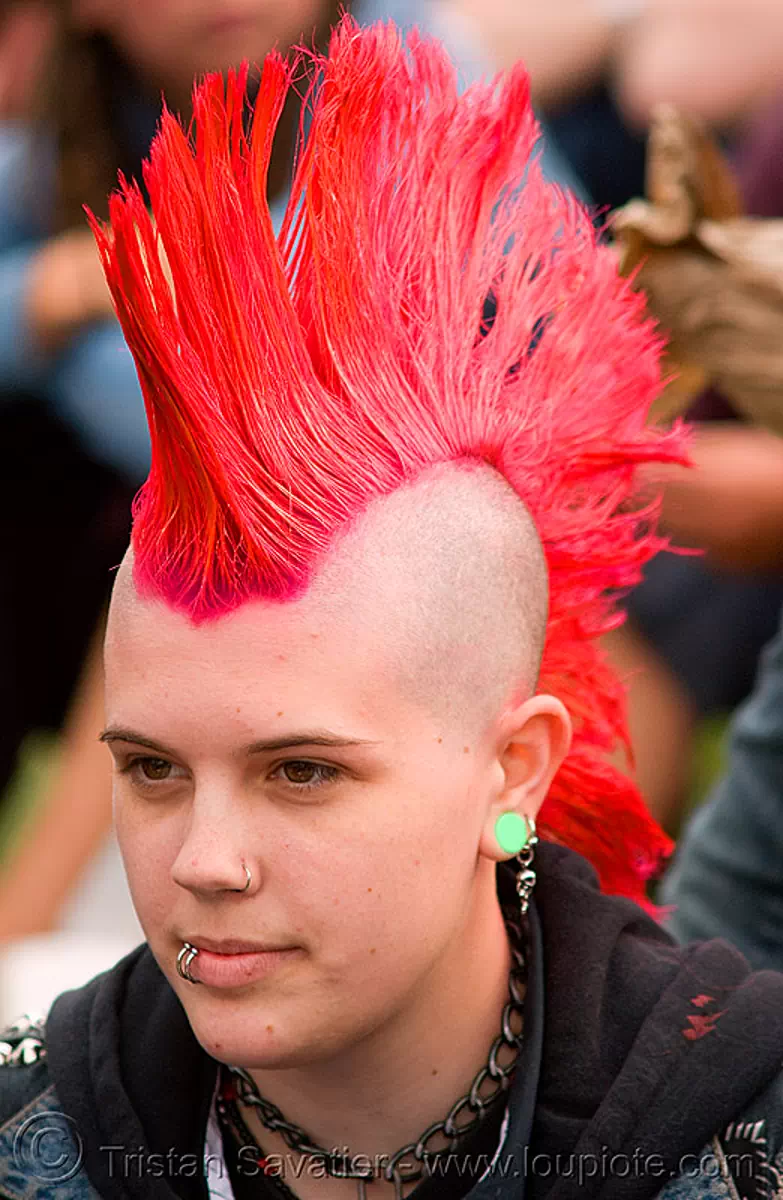 Pink With Mohawk