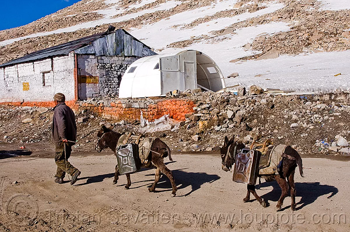 Changla Pass