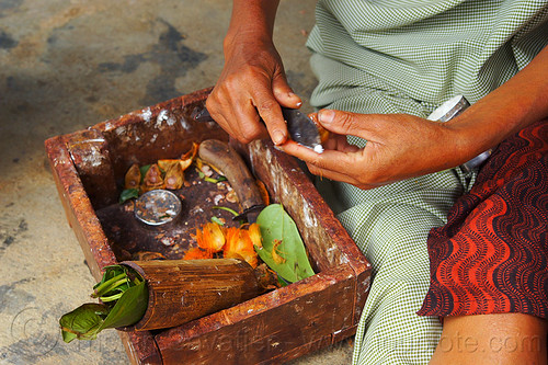 Khasi Woman Chewing Betel Nut India 5859