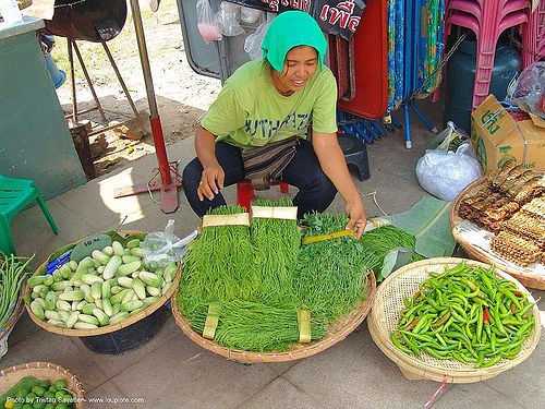 green asian vegetables