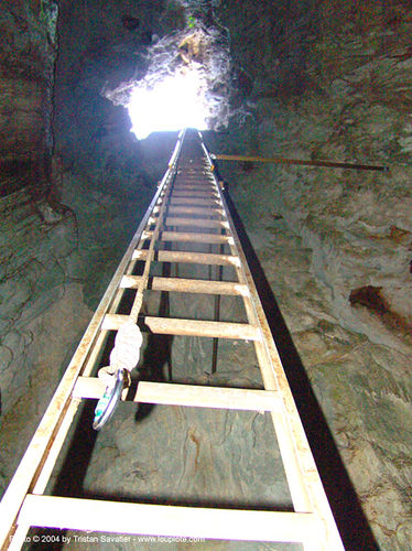 Cave Ladder