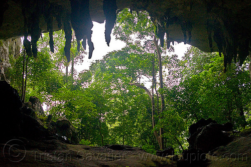 cave in forest