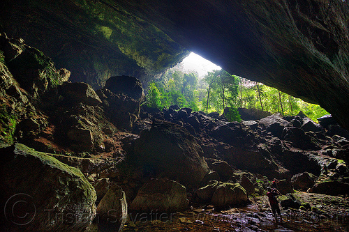 Cave Garden