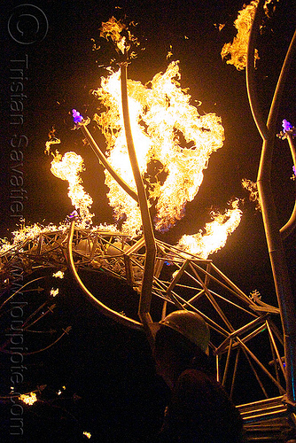 burning man - soma - giant neuron by the flaming lotus girls, burning man at night, dendrites, fire, neurone, soma