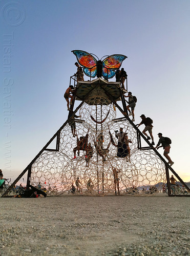 burning man - the butterfly, art installation, swig miller, the phoenix and the butterfly