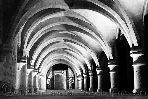 crypt - collège des bernardins - gothic architecture - stone vaults - monastery (paris), architecture, cellar, cistercian, collège des bernardins, crypt, gothic, medieval, monastery, stone vaults