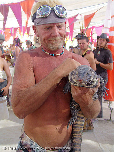 giant lizard - burning man 2005, giant lizard, man