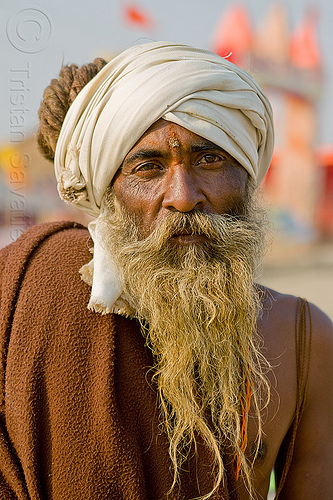 old hindu pilgrim with long beard at kumbh mela 2013, beard, dreadlocks, headwear, hindu man, hindu pilgrimage, hinduism, indian man, kumbh mela, pilgrim, tilak, tilaka, turban