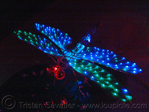 optical fiber dragonfly by jeremy lutes - lily pond, dragonfly, fiber optic, glowing, optic fiber, optical fiber, optical fibre