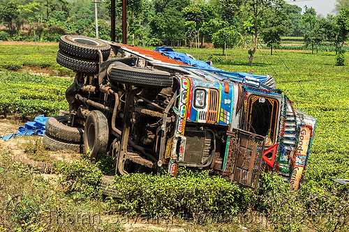 overturned truck in tea plantation (india), crash, ditch, field, lorry accident, overturned, road, rollover, tata motors, tea plantation, traffic accident, truck accident, west bengal, wreck