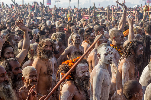 procession of naga sadhus with body covered with ash - kumbh mela (india), crowd, hindu pilgrimage, hinduism, holy ash, kumbh maha snan, kumbh mela, mauni amavasya, men, naga babas, naga sadhus, sacred ash, triveni sangam, vibhuti, walking