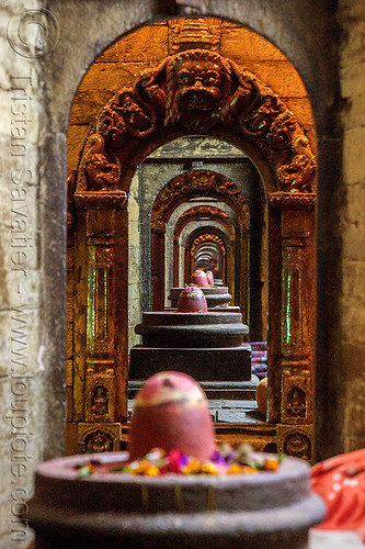 row of shiva lingas - pashupatinath temple - kathmandu (nepal), flower offerings, flowers, hindu temple, hinduism, kathmandu, lingams, maha shivaratri, pashupatinath temple, row, shiva linga, shiva lingam, shivling, shrines, stone vaults, vanishing point