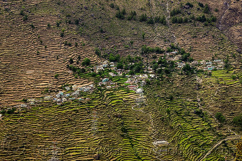 small village on terraced fields (india), agriculture, houses, landscape, mountains, terrace farming, terraced fields, village