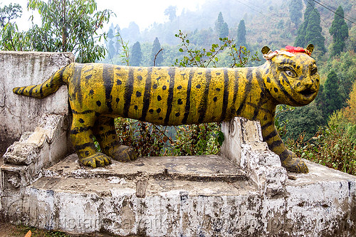 stone tiger at hindu shrine (india), hindu temple, hinduism, sculpture, shrine, statue, stone tiger, west bengal