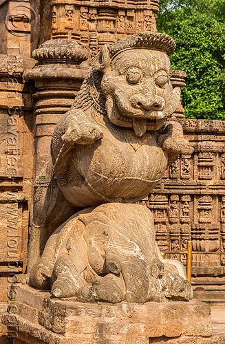 stone tiger over elephant - konark sun temple (india), hindu temple, hinduism, konark sun temple, mustache, sculpture, statue, stone elephant, stone tiger