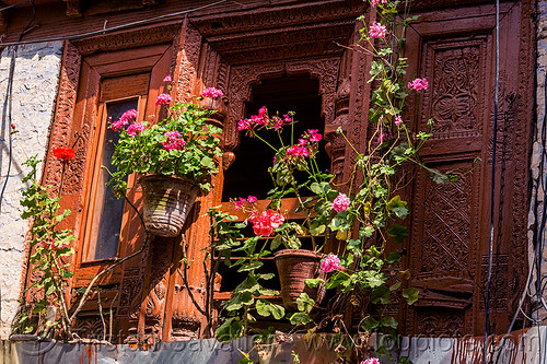 window with flowers - intricate wood carving panels (india), almora, carved, flower pots, flowers, house, low relief, window, wood carving, wooden