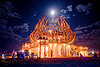 Burning Man 2009