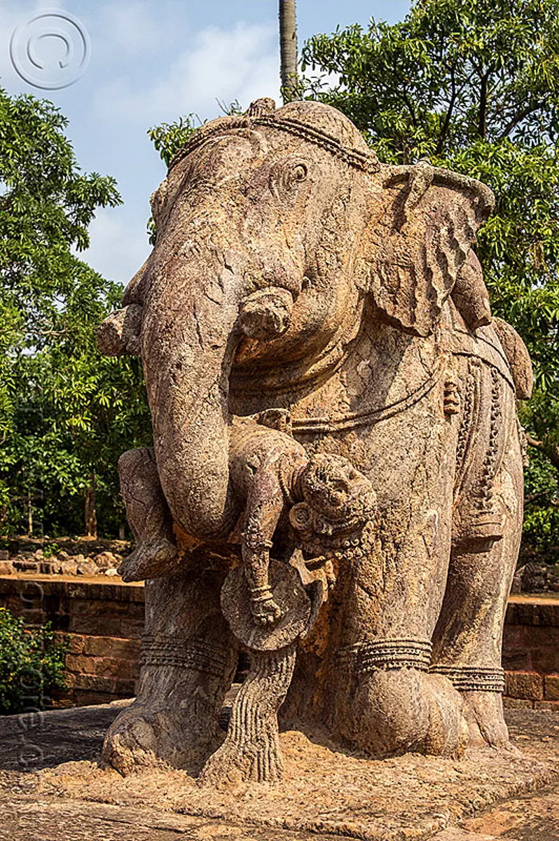 stone elephant, konark sun temple, india