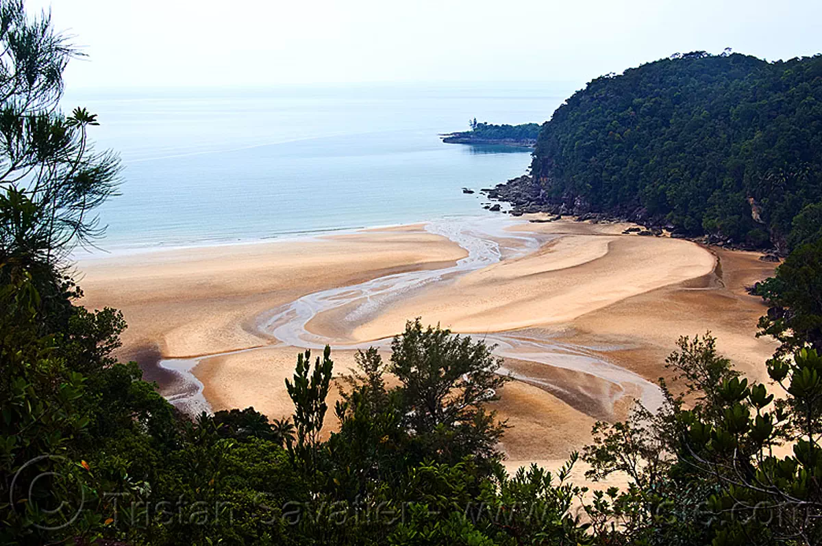 besar beach, bako national park near kuching, borneo