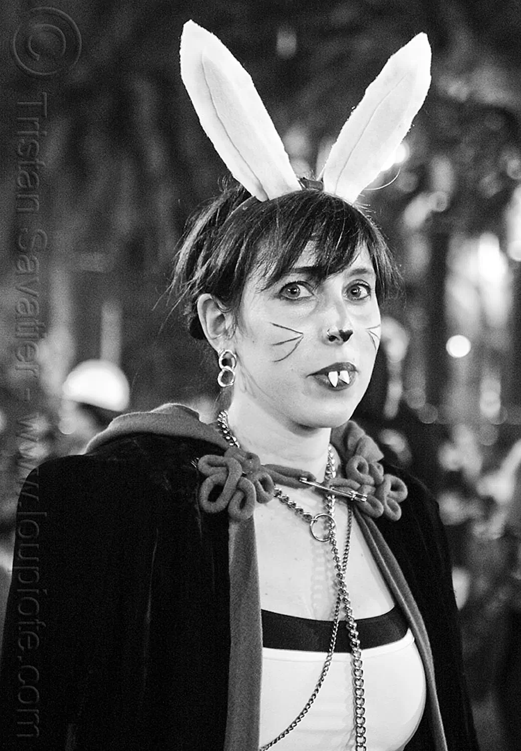 bunnicula costume, halloween, san francisco