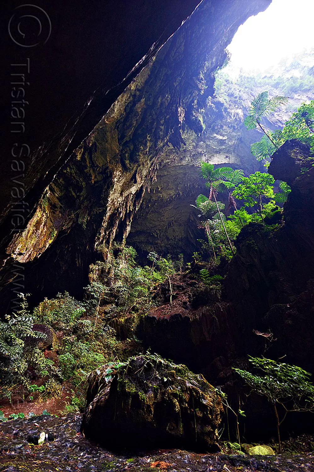 Deer Cave Entrance Mulu Borneo   Deer Cave Entrance Mulu Borneo 6735615423 