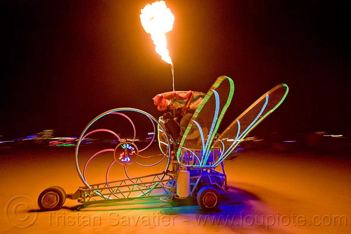 dragonfly art car - burning man 2010