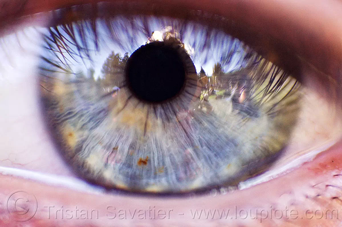 Eye Closeup Eye Iris Texture