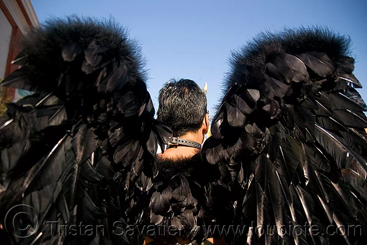 feather angel wings, black angel, folsom street fair 2008, san francisco