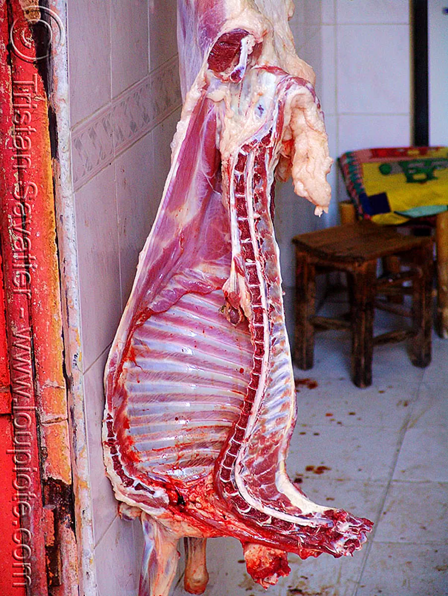 half goat carcasse in meat shop, spine and ribs