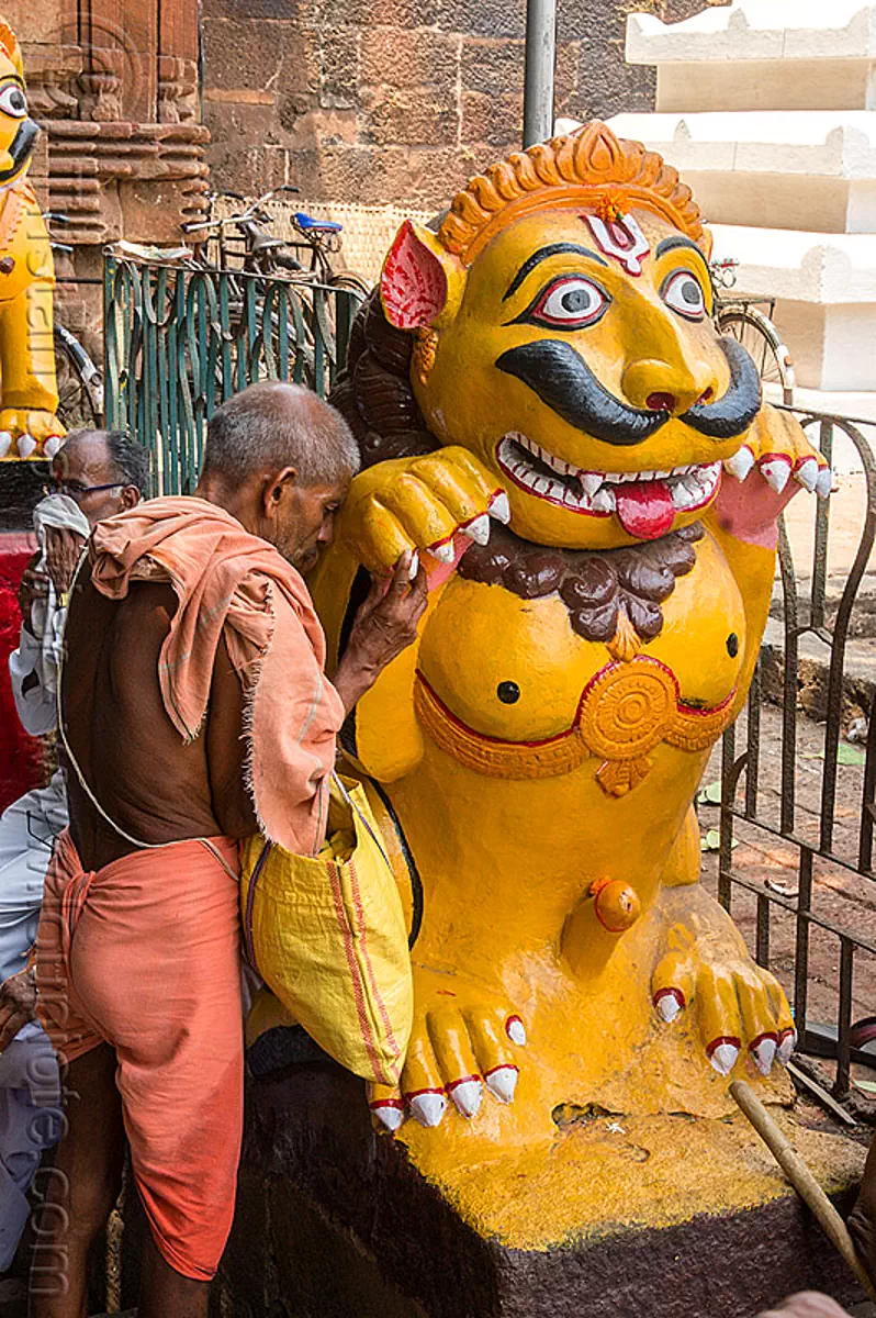 hindu man praying at mustachioed stone tiger, india