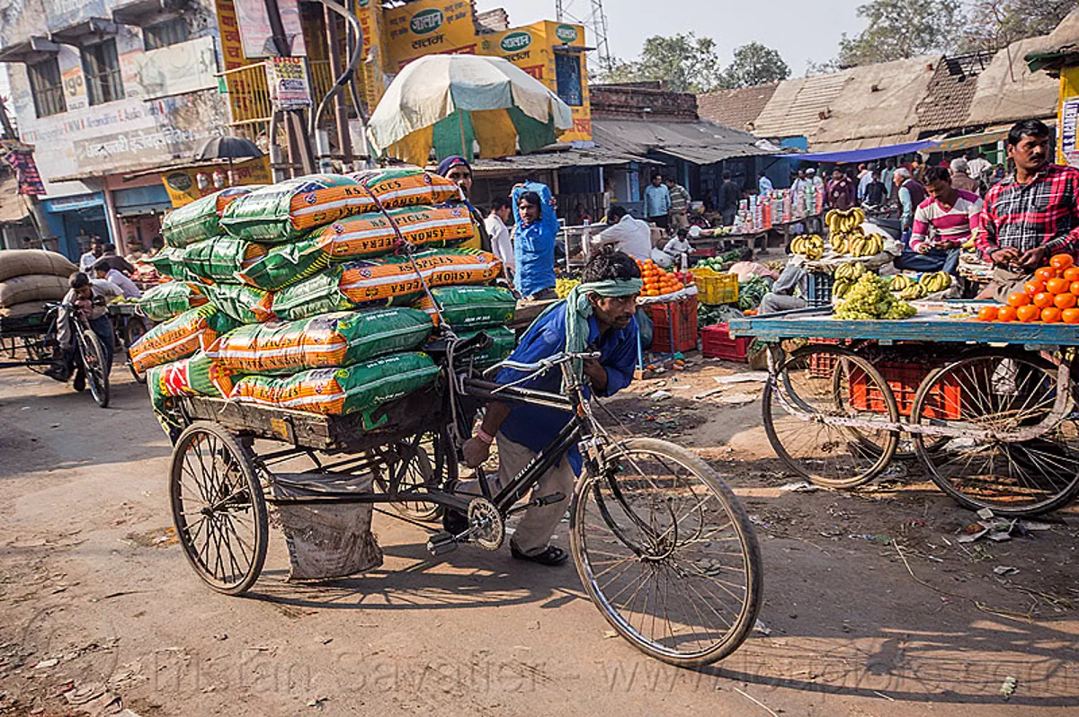 man pushing cargo tricycle with heavy load of freight, india, freight ...