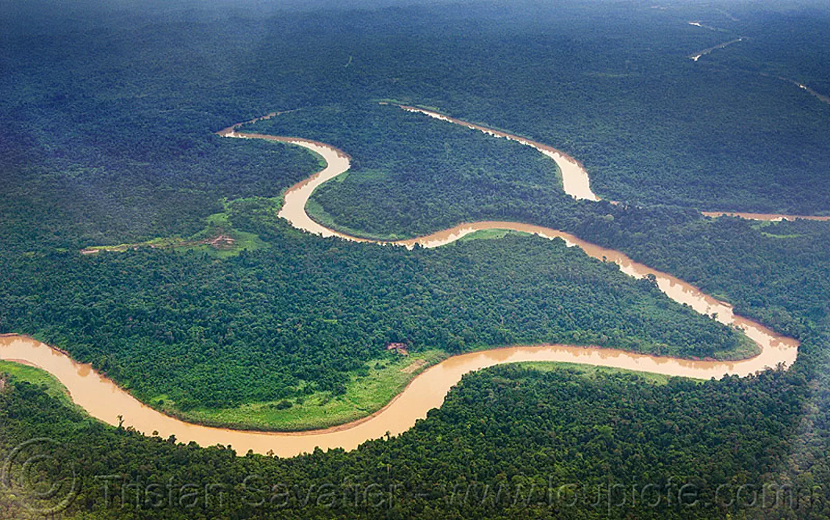 Muddy River Meanders In The Jungle