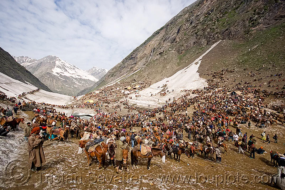 ponies and porters, amarnath yatra (pilgrimage), kashmir