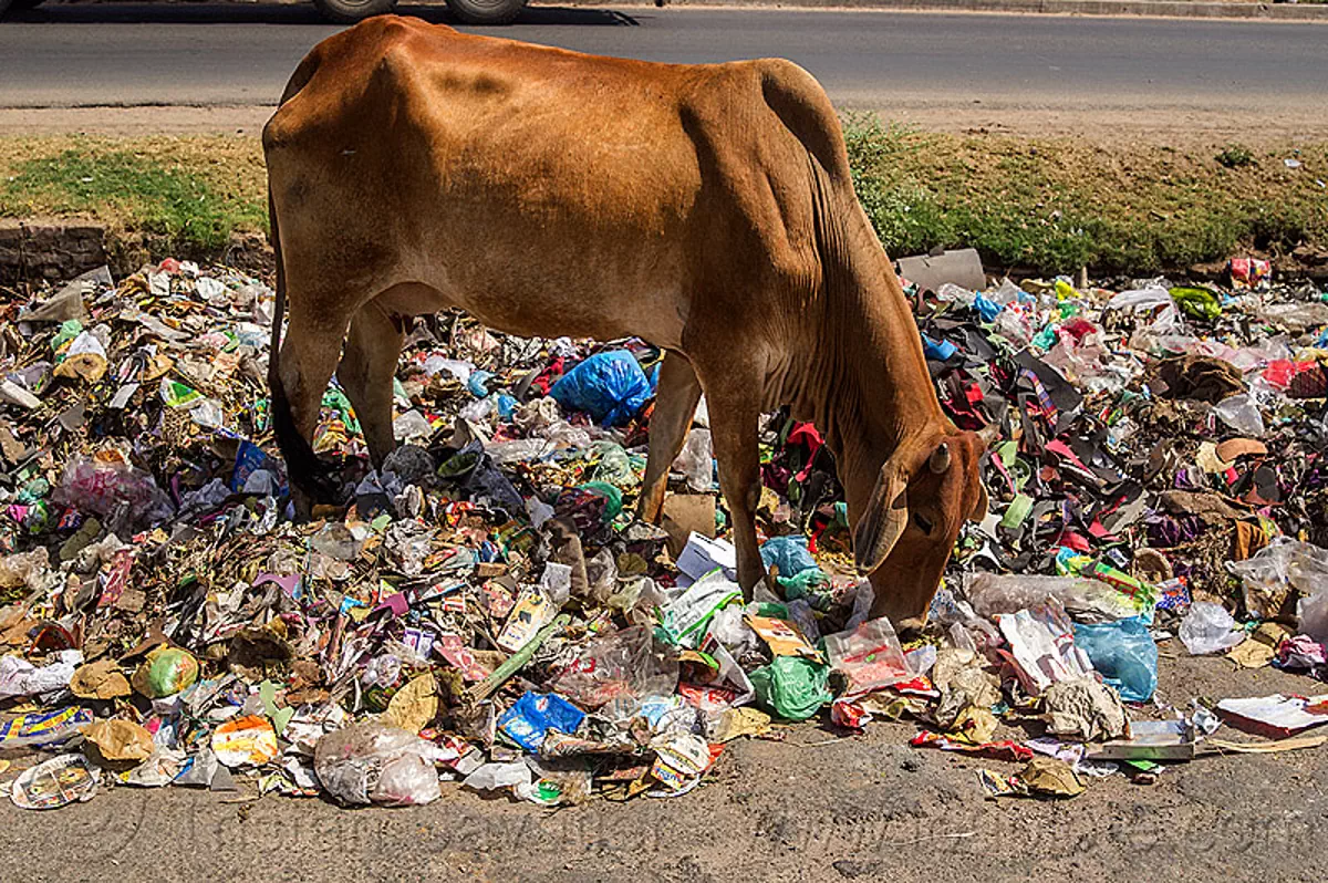 the problem with single-use plastic in india