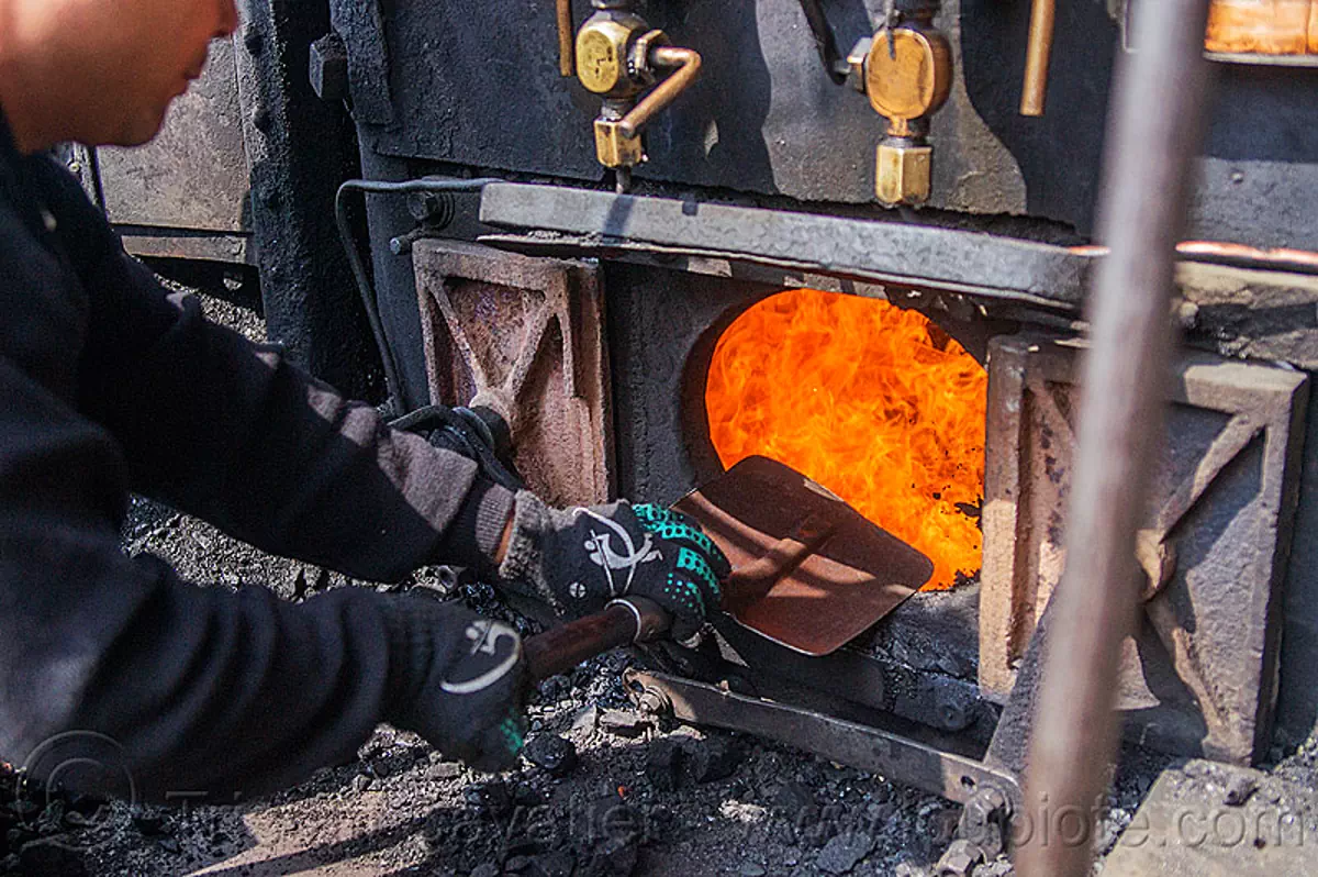 Shoveling Coal In Steam Locomotive Furnace, Darjeeling, India