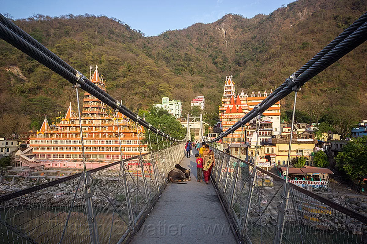 sleeping jhula