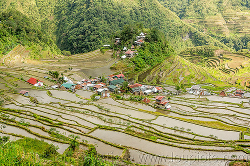 terrace farming & rice paddy fields