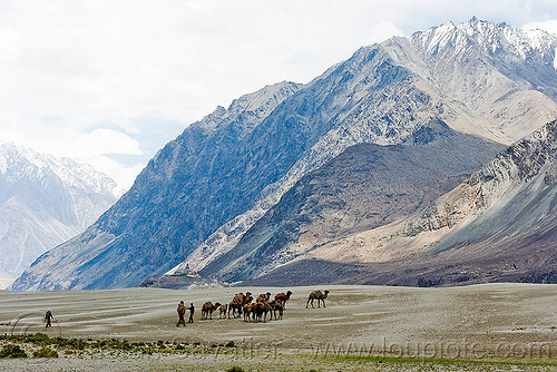 himalaya motorcycle road trip - manali to leh - ladakh (india)