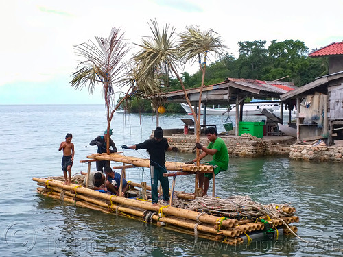 bamboo floating island with fake trees to attract fish, bamboo raft, fisherman, fishermen, fishing, floating island, men, ocean, sea