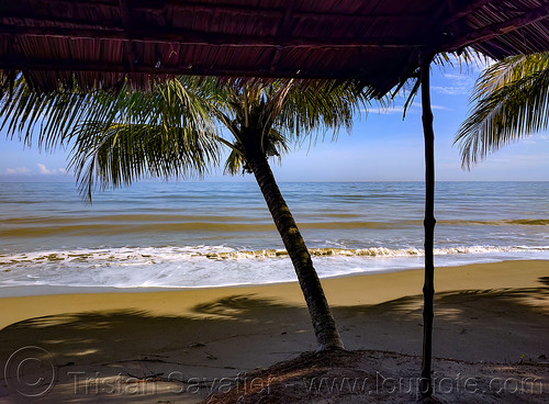 beach shelter camping - sulawesi island - indonesia, beach, camping, coconut trees, ocean, palmtrees, pantai, roof, sea