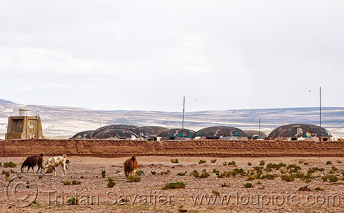 bunkers in military base (bolivia), altiplano, army base, bolivia, bunkers, camouflaged, domes, military base, pampa