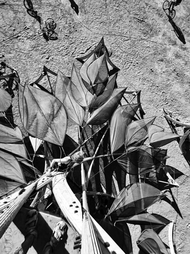 burning man - climbing the sirsasana inverted tree, climbing, leaves, sirsasana headstand, vertical