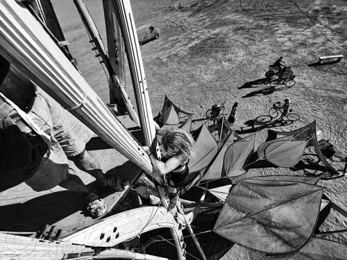 burning man - climbing the sirsasana un-side-down tree, climbing, leaves, sirsasana, vertical