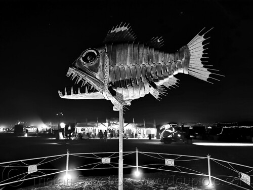 burning man - fish sculpture - ratchetfish, art installation, barry crawford, burning man at night, ratchetfish