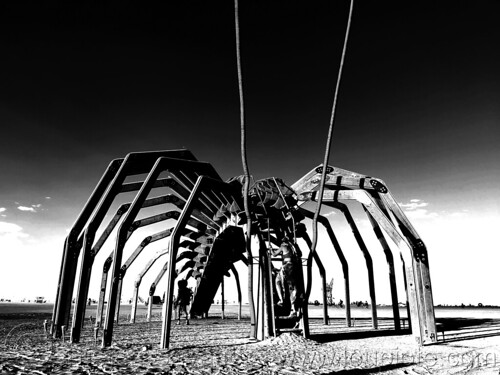 burning man - giant centipede with antennae - chilopod, art installation, centipede, chilopod