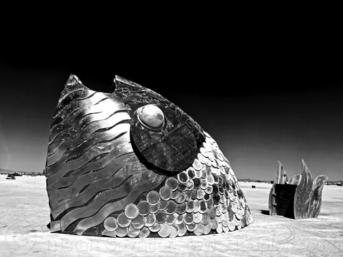 burning man - giant shiny fish sculpture - atabey, art installation, atabey, fish, sculpture