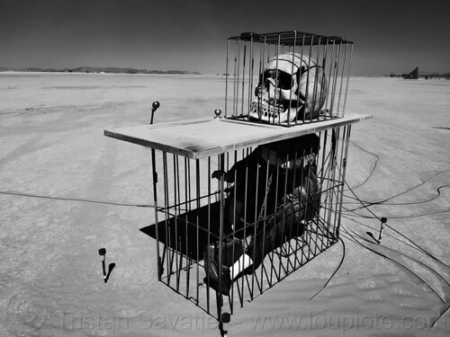 burning man - sculpture with skull in a cage - brain drain, art installation, cage, skull