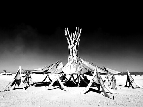 burning man - sirsasana headstand inverted tree, art installation